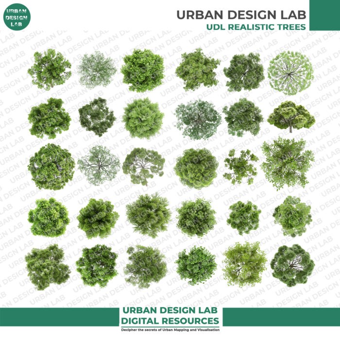 Urban Design Lab 6
