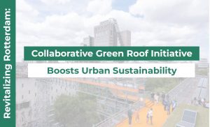 Revitalizing Rotterdam: Collaborative Green Roof Initiative Boosts Urban Sustainability