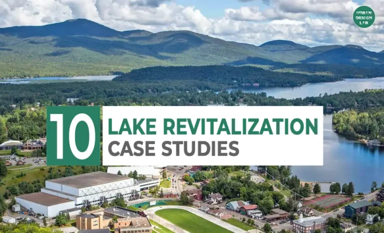 Lake Revitalization