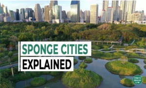 Sponge Cities Explained