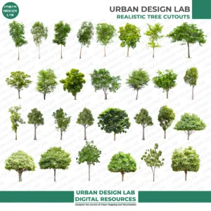 150 Realistic Tree Cutouts – Premium PNG Collection - Image 4