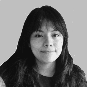 UDL Thesis Publication | 2025 53