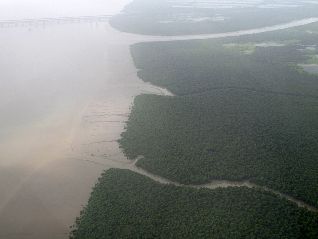 Thane’s Data Centre Dispute: Who Decides Where the AI Economy Gets Built? 6 Aerial view of the mangrove landscape along Thane Creek, illustrating the wider environmental systems within which metropolitan development takes place