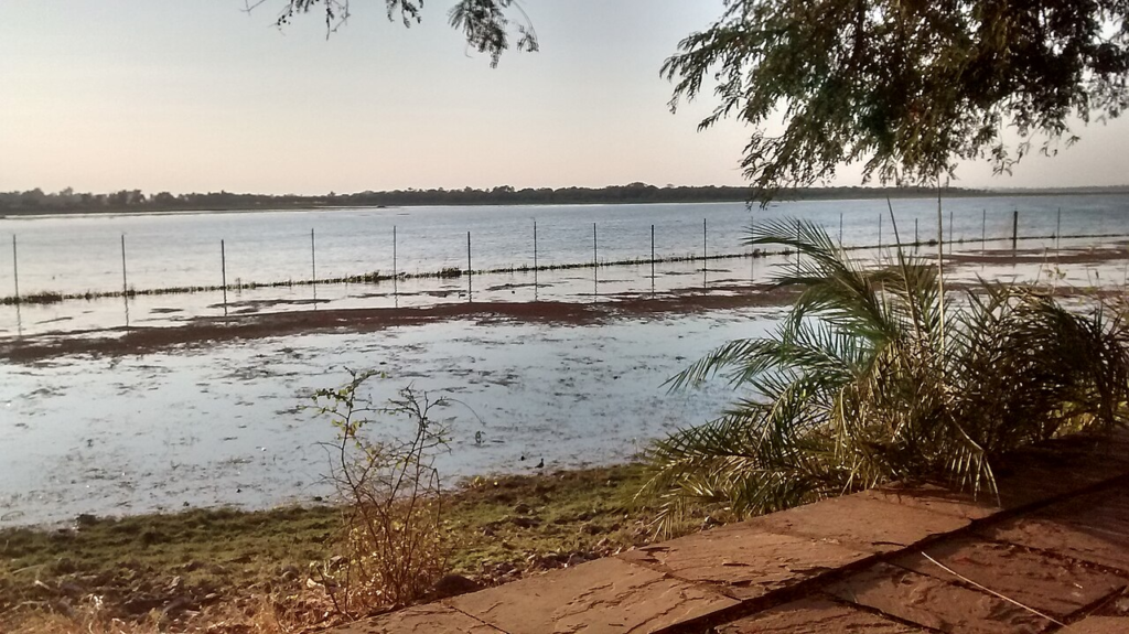 Bhopal Master Plan 2047 Is Rewriting the Future of India’s City of Lakes 2 Upper Lake viewed from the vegetated edge of Van Vihar National Park