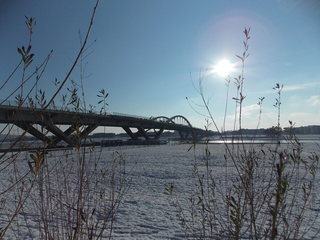 Save It or Demolish It? Who Decides Which Buildings Deserve a Future? 2 Waldschlösschen Bridge crossing the Elbe landscape in Dresden