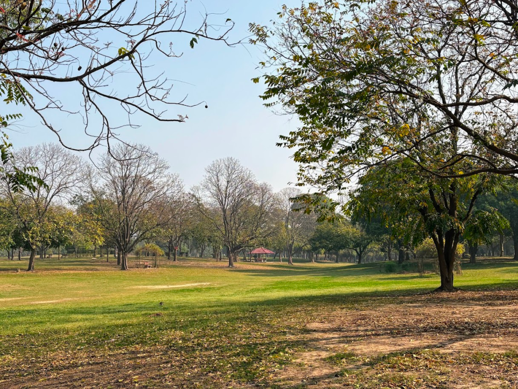 Can Chandigarh Turn 75 Without Losing the Sun, Space and Greenery It Was Built For? 3 A section of Leisure Valley photographed in March 2026